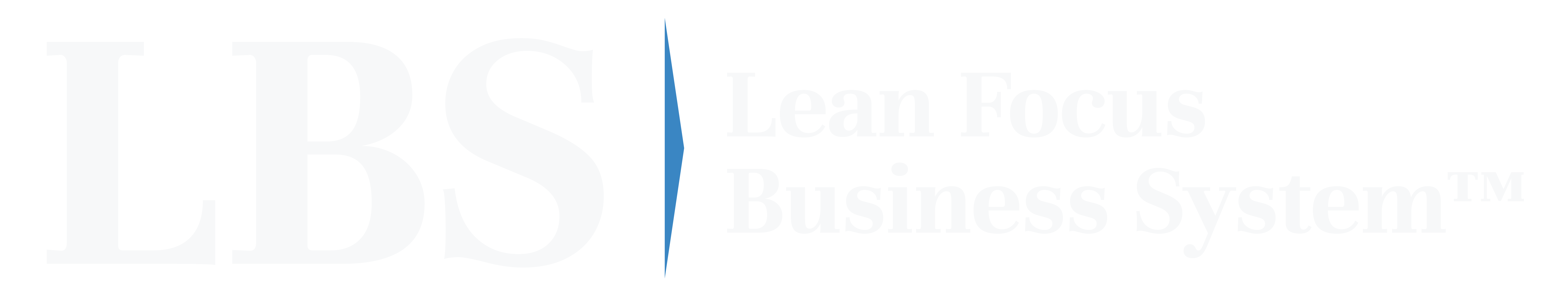 Lean Focus Business System (LBS)